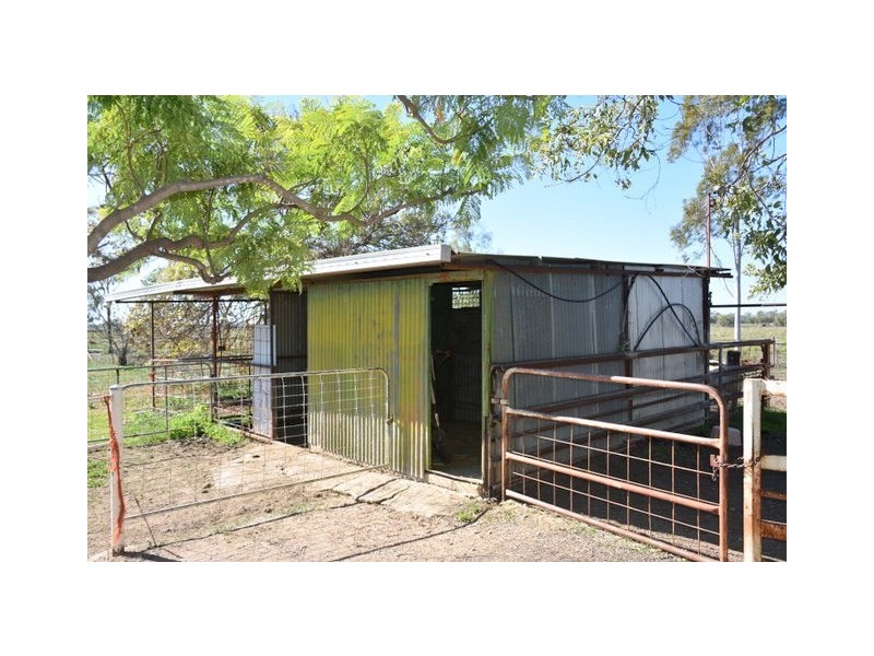 22289 Newell Highway, Moree NSW 2400