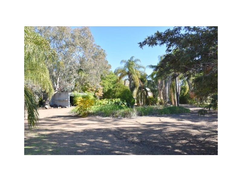 22289 Newell Highway, Moree NSW 2400