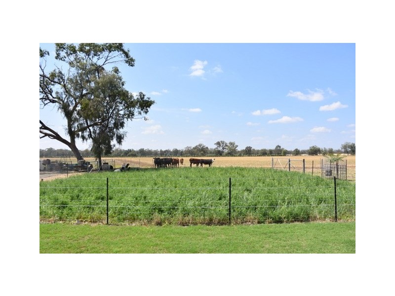 40 Gulai Road, Moree NSW 2400