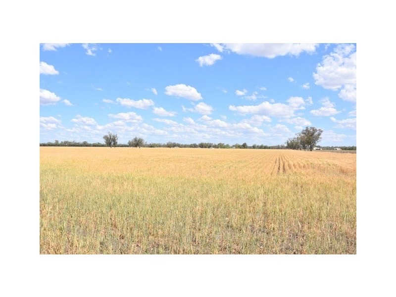 241 Stonnington Lane, Moree NSW 2400