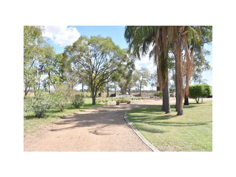 241 Stonnington Lane, Moree NSW 2400