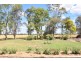 241 Stonnington Lane, Moree NSW 2400