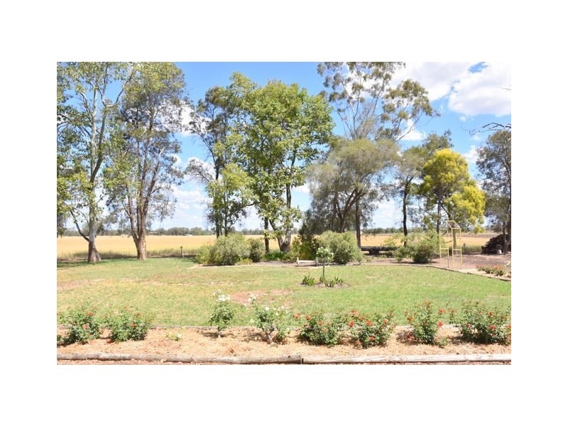 241 Stonnington Lane, Moree NSW 2400