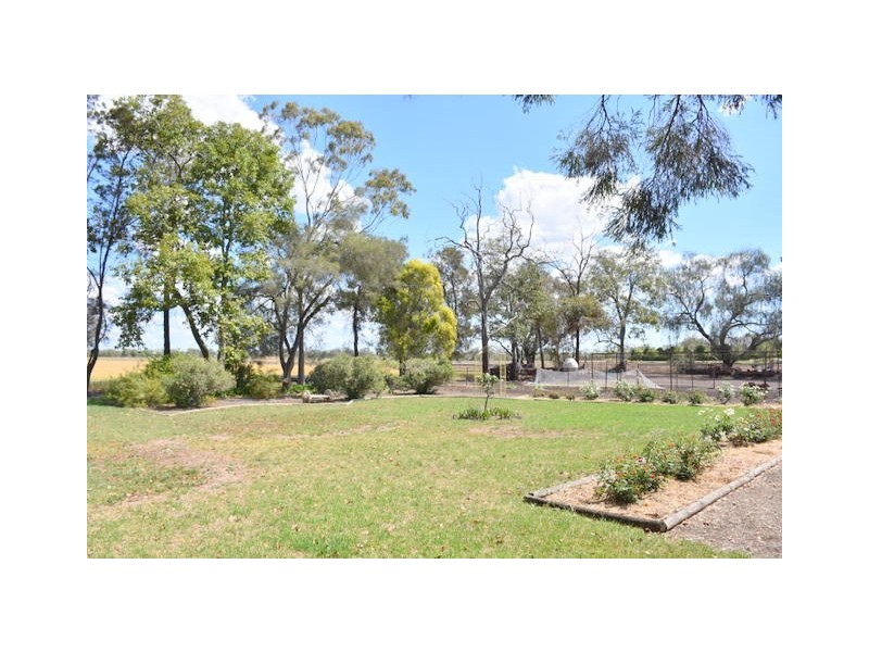 241 Stonnington Lane, Moree NSW 2400