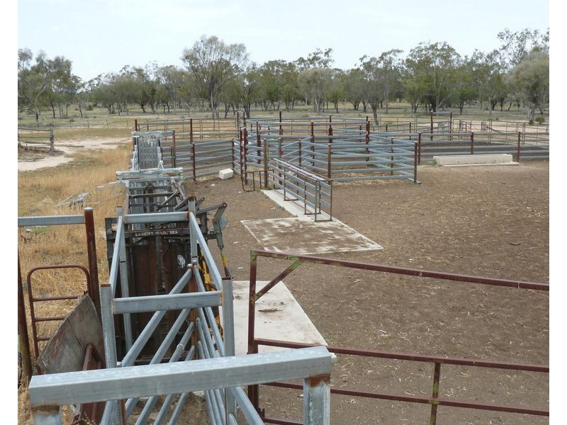 ” Bogibel/Kareelah”, Collarenebri NSW 2833