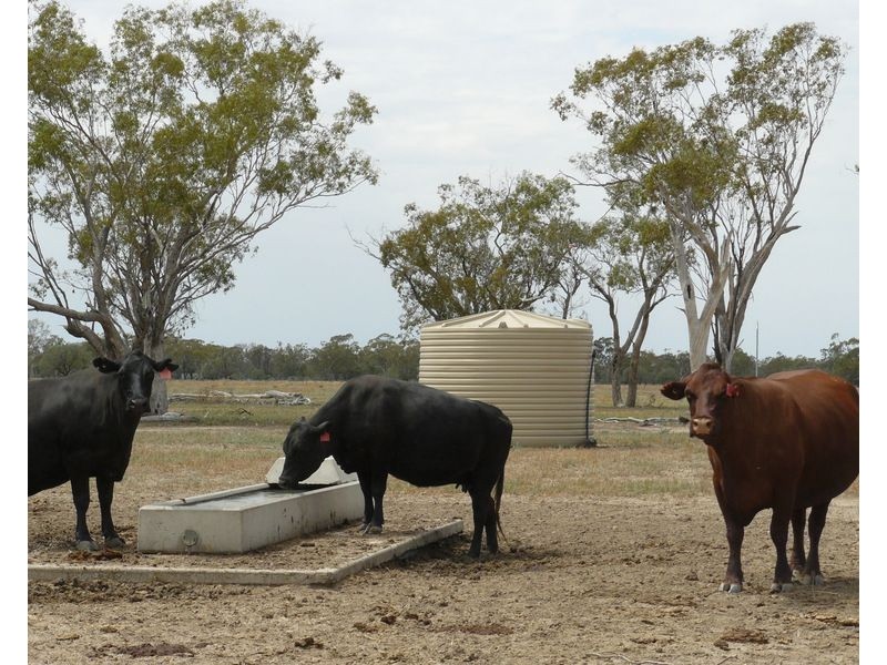 ” Bogibel/Kareelah”, Collarenebri NSW 2833