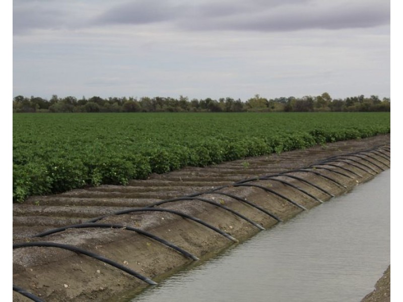 ” Ridgeview”, Mungindi NSW 2406