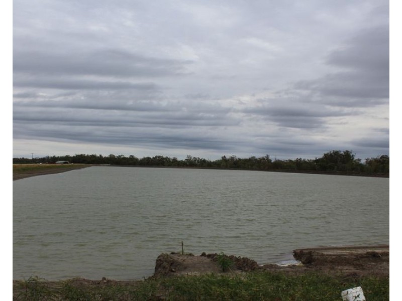 ” Ridgeview”, Mungindi NSW 2406