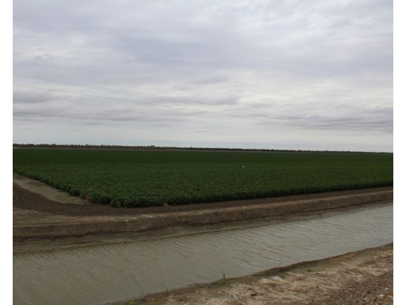 ” Ridgeview”, Mungindi NSW 2406