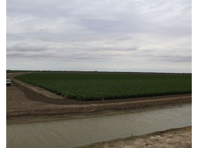 ” Ridgeview”, Mungindi NSW 2406