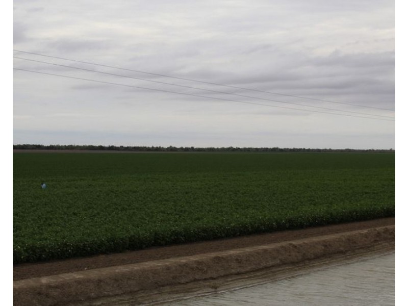 ” Ridgeview”, Mungindi NSW 2406