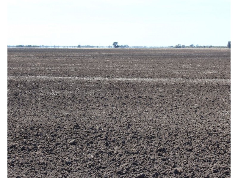 ” Gojanor”, Gurley NSW 2398