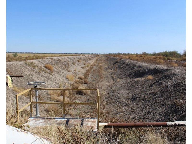 ” Gojanor”, Gurley NSW 2398