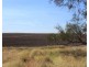 ” Gojanor”, Gurley NSW 2398