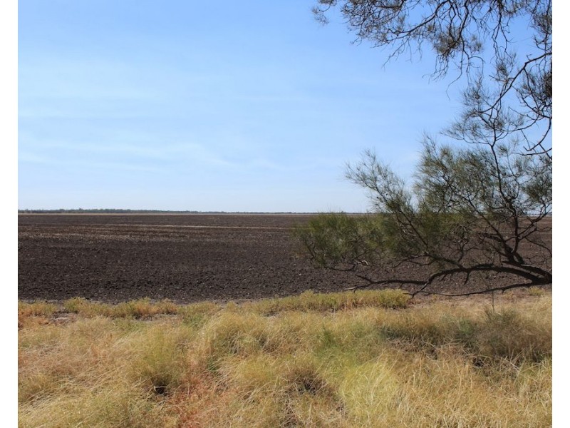 ” Gojanor”, Gurley NSW 2398