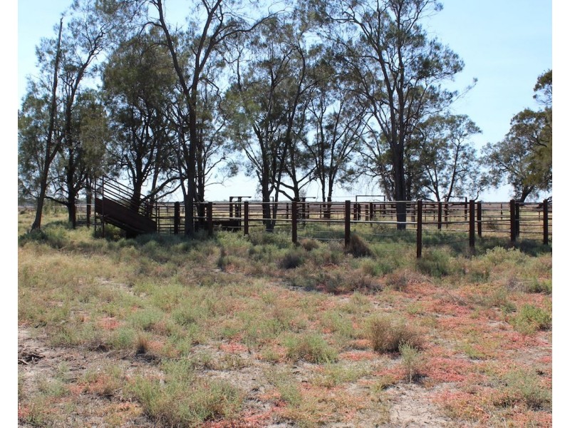 ” Gojanor”, Gurley NSW 2398