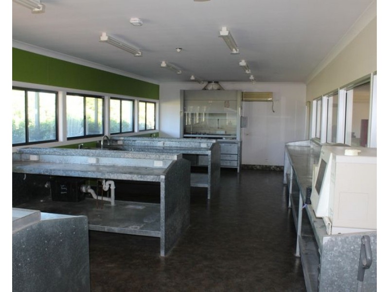 50 Burrington Road, Moree NSW 2400