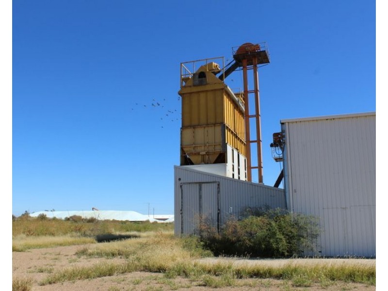 50 Burrington Road, Moree NSW 2400