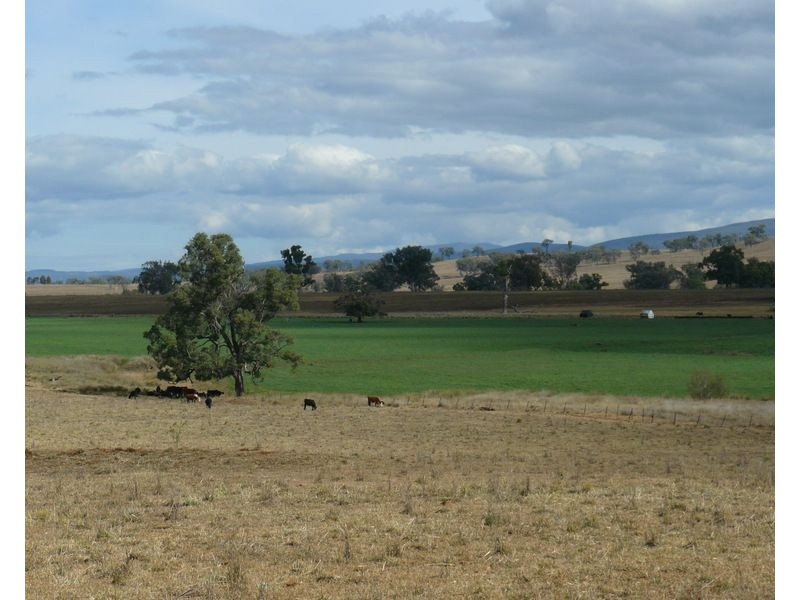 ” Araluen “, ” Finschaffen “, ” Kiaora East “, Bingara NSW 2404