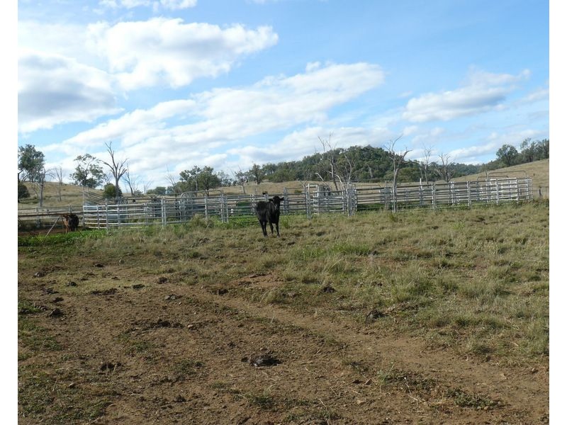 ” Araluen “, ” Finschaffen “, ” Kiaora East “, Bingara NSW 2404