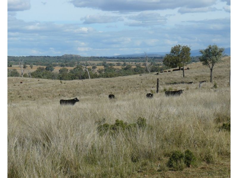 ” Araluen “, ” Finschaffen “, ” Kiaora East “, Bingara NSW 2404