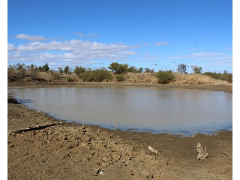 ” Killarney”, Gravesend NSW 2401