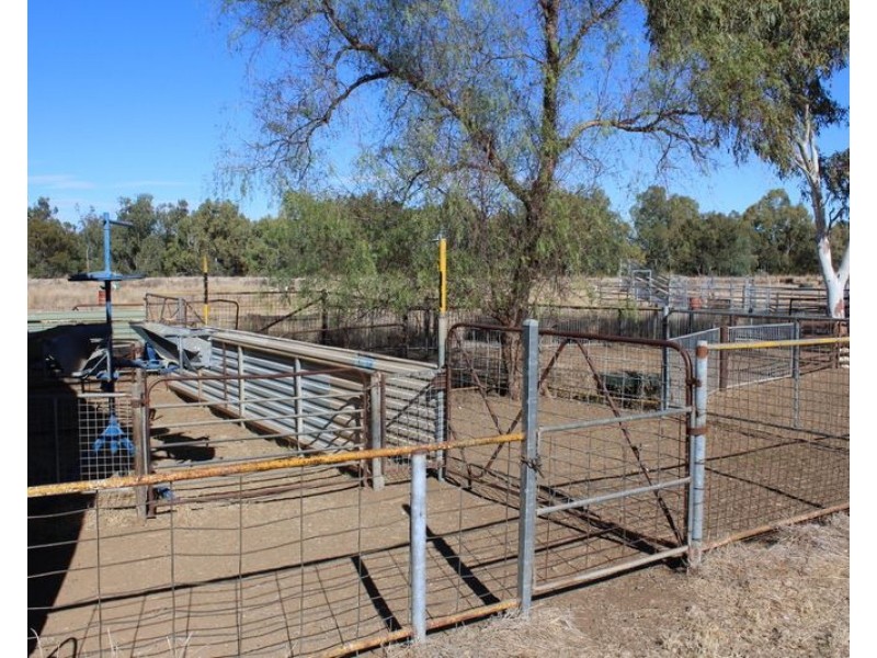 ” Killarney”, Gravesend NSW 2401