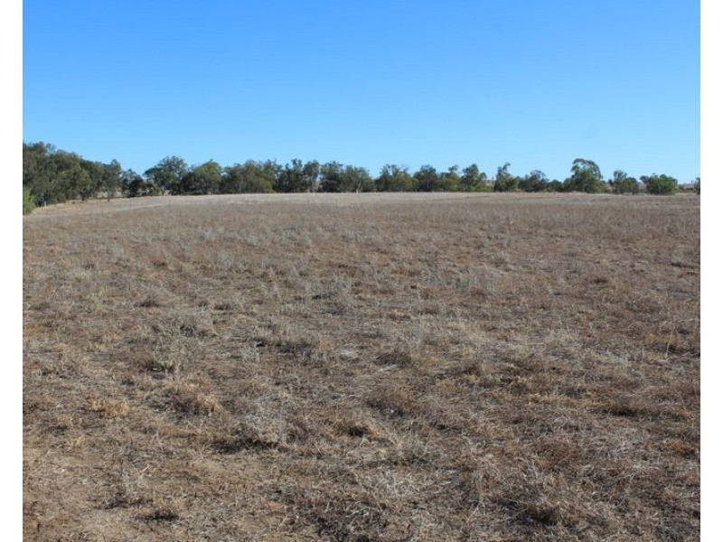 ” Killarney”, Gravesend NSW 2401