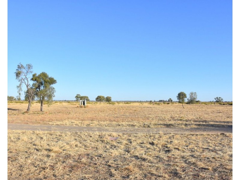 52, 54, 56 58 Blueberry Road, Moree NSW 2400