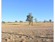 52, 54, 56 58 Blueberry Road, Moree NSW 2400