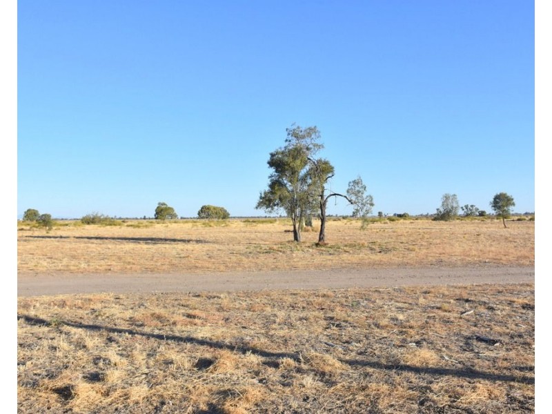 52, 54, 56 58 Blueberry Road, Moree NSW 2400