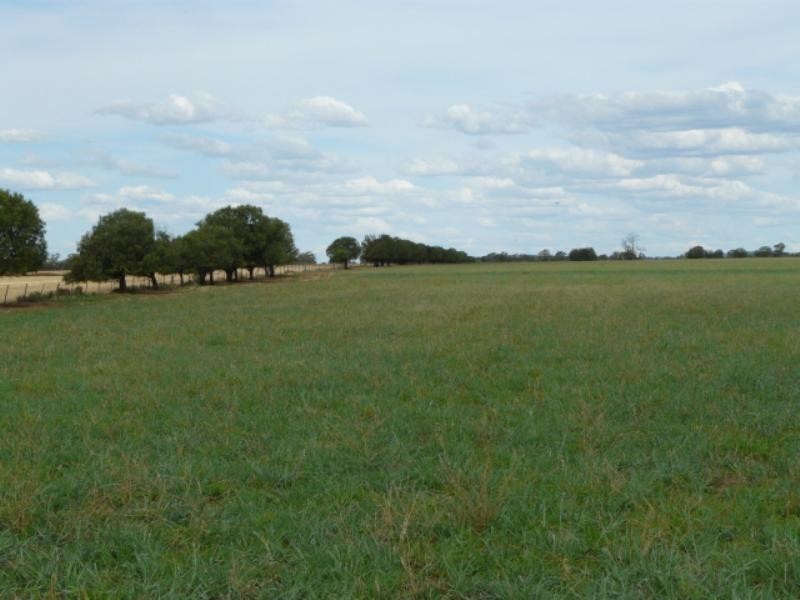 Pallamallawa NSW 2399