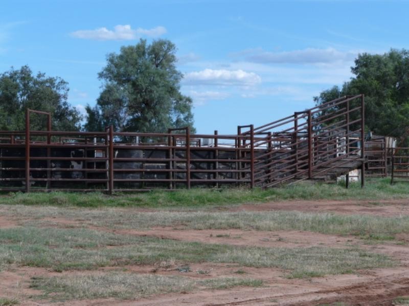 Pallamallawa NSW 2399