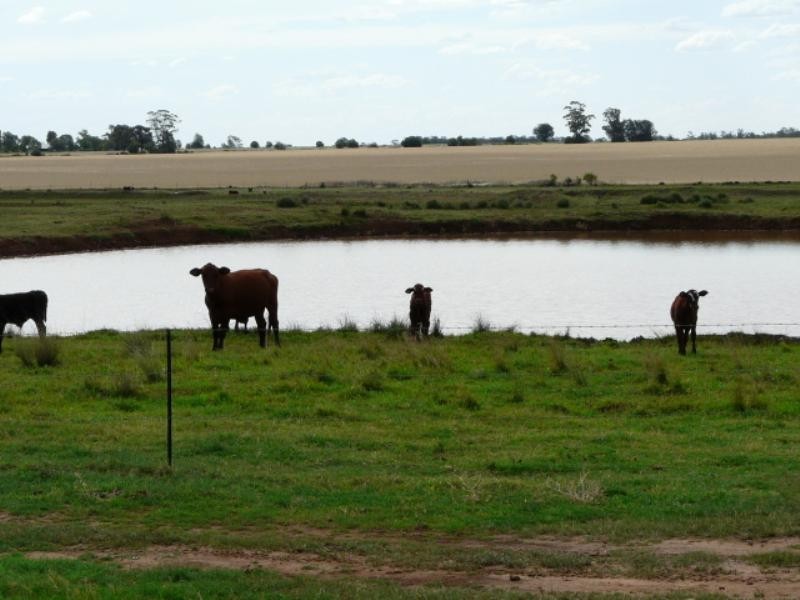 Pallamallawa NSW 2399