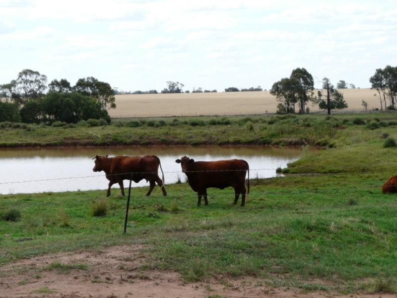 Pallamallawa NSW 2399