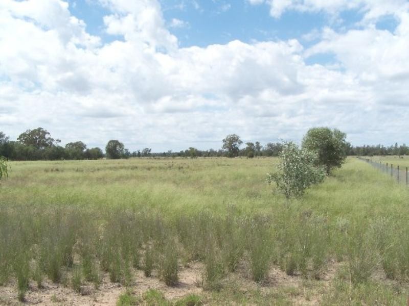 Pallamallawa NSW 2399