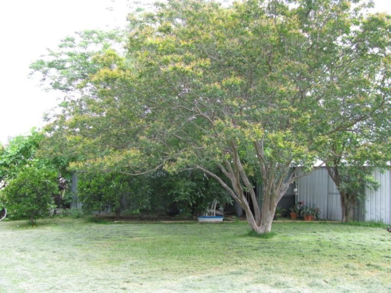 Moree NSW 2400