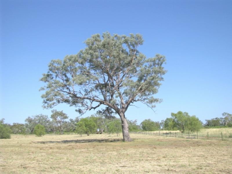 Moree NSW 2400