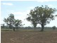 Gravesend NSW 2401