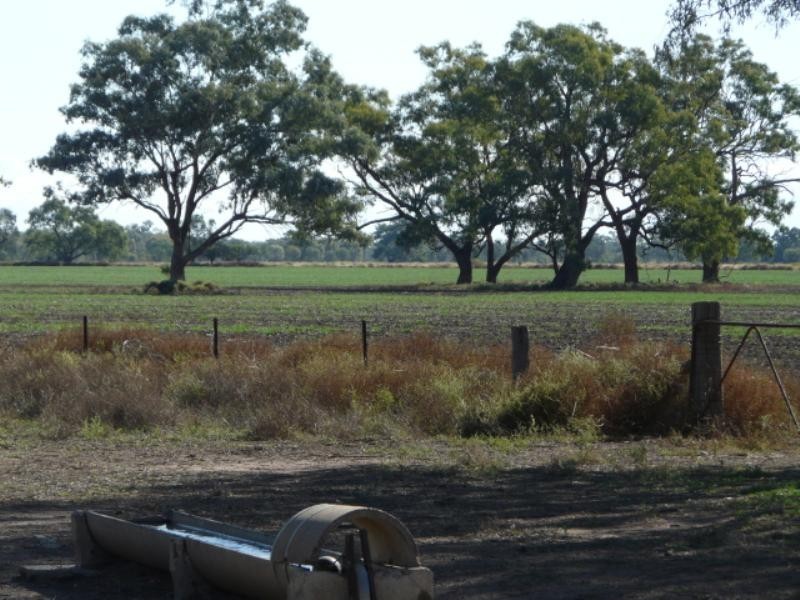 Moree NSW 2400