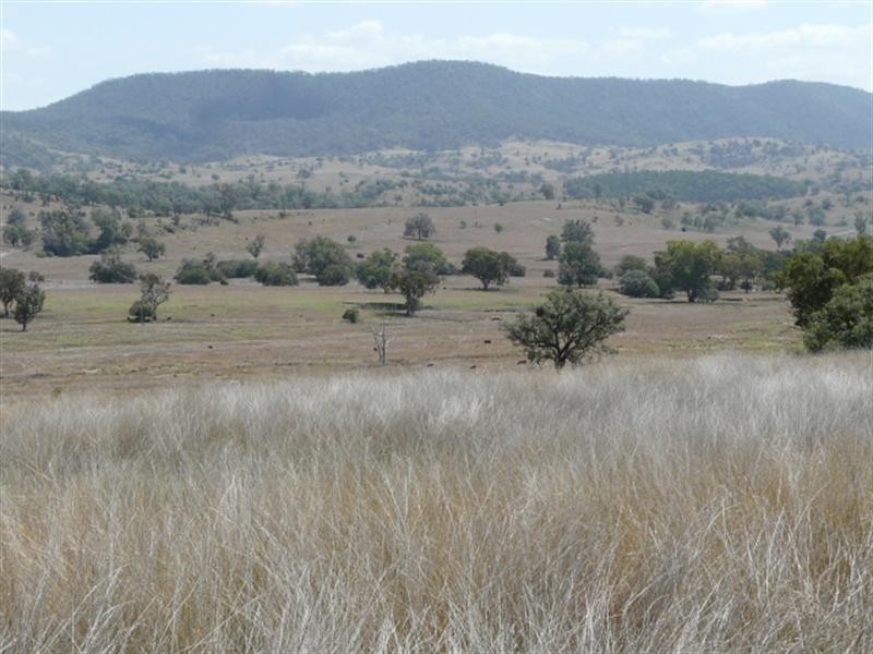 Bingara NSW 2404