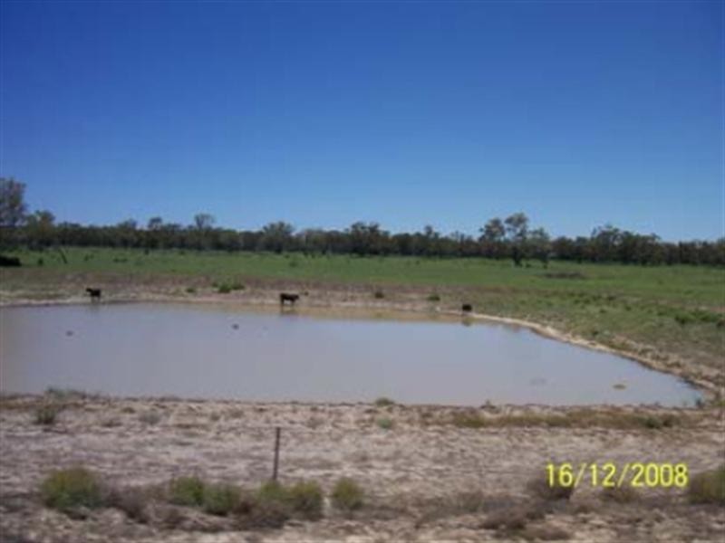 Wee Waa NSW 2388