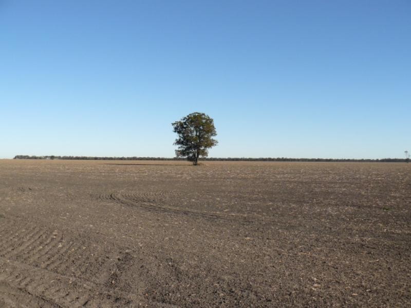 Moree NSW 2400