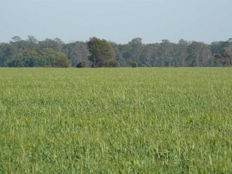 Croppa Creek NSW 2411