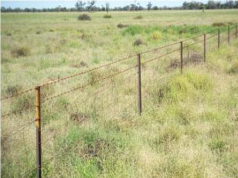 Burren Junction NSW 2386