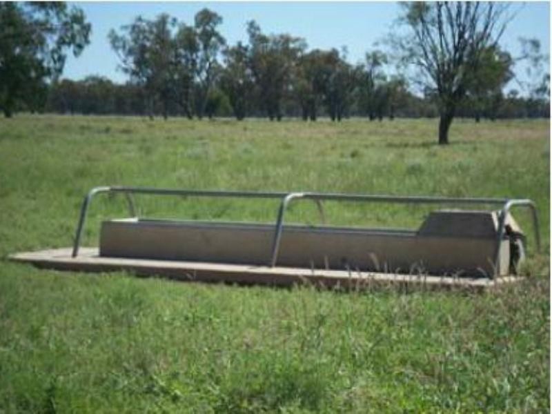 Burren Junction NSW 2386