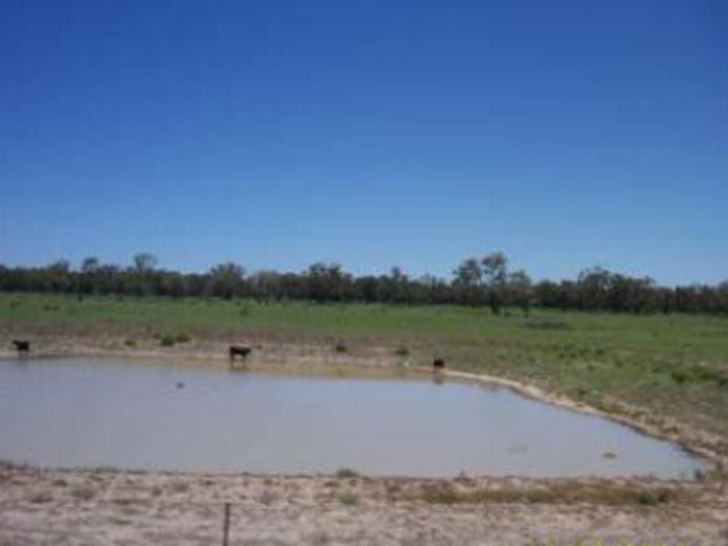 Burren Junction NSW 2386