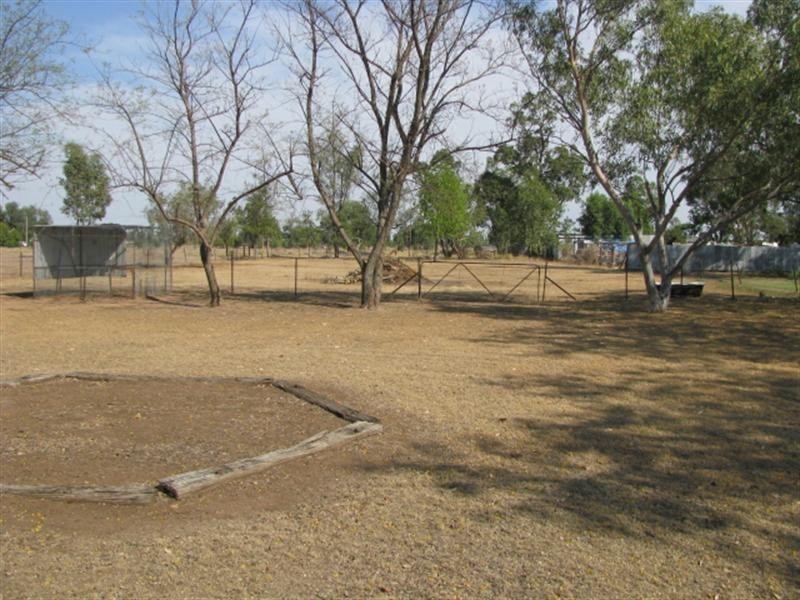 Ashley NSW 2400