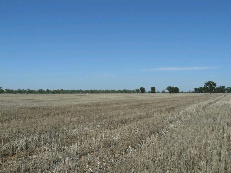 Coonamble NSW 2829