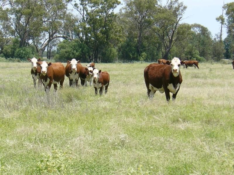 Coonamble NSW 2829